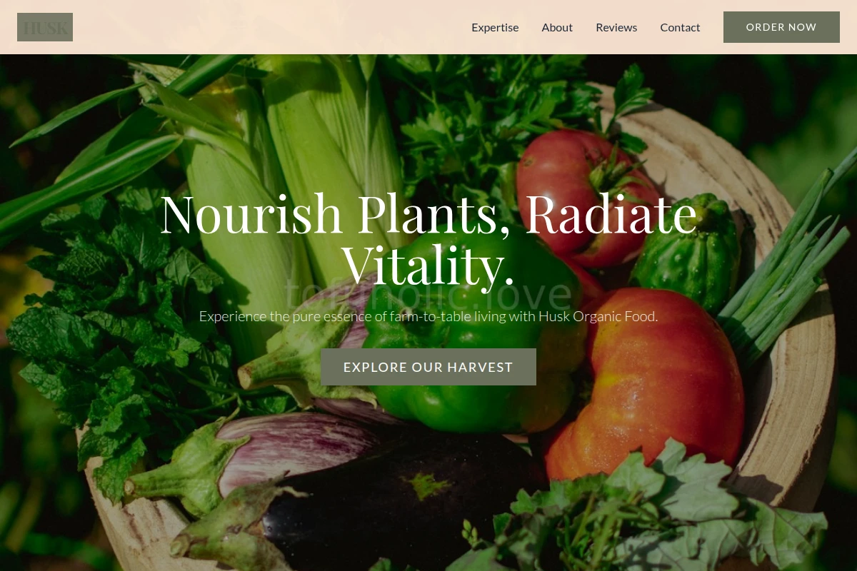 Husk Organic Food